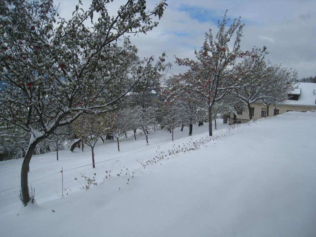 Wachahof Βίλα Edlitz Εξωτερικό φωτογραφία